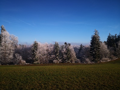 Foto: P.Rave (Vorschaubild)